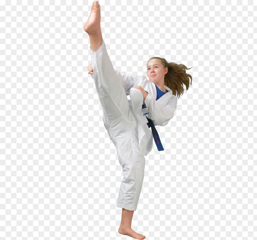 Mixed Martial Artist Arts Taekkyeon Taekwondo Karate Subak PNG