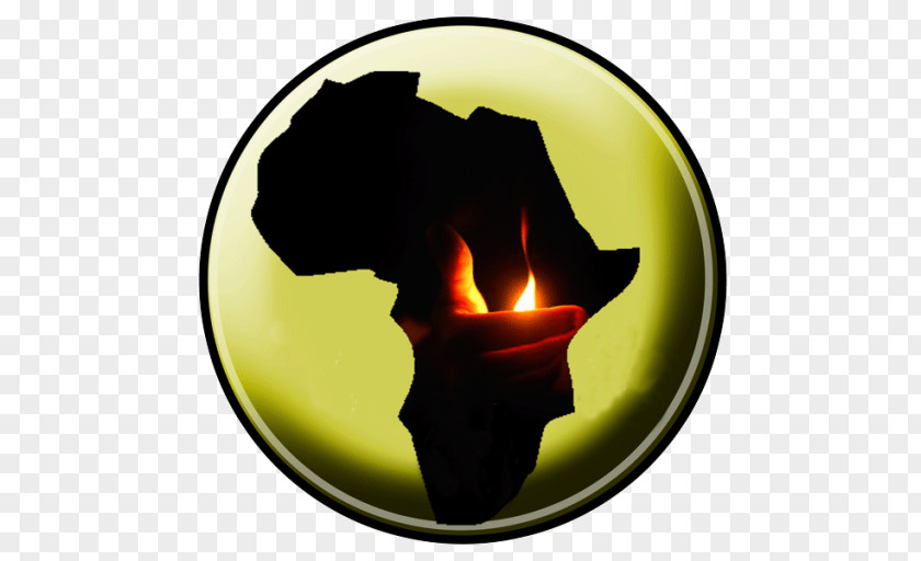 United States African Union Nigeria Ghana Akon Lighting Africa PNG
