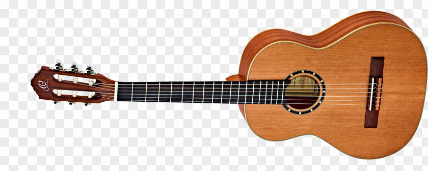 Acoustic Guitar Taylor Guitars Twelve-string String Instruments PNG