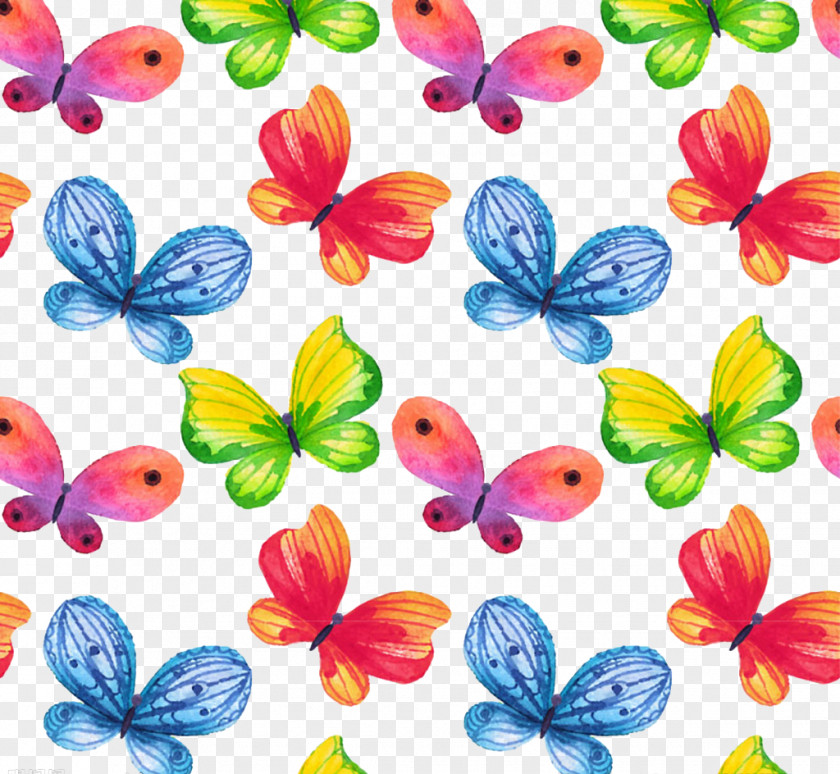 Butterfly Color Euclidean Vector PNG