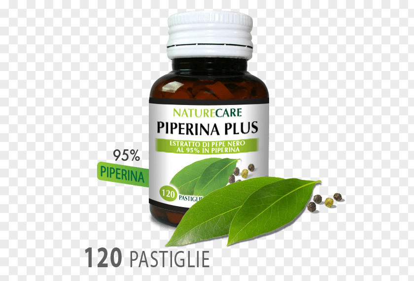 Centella Asiatica Herbalism Tarzan Plants Product PNG