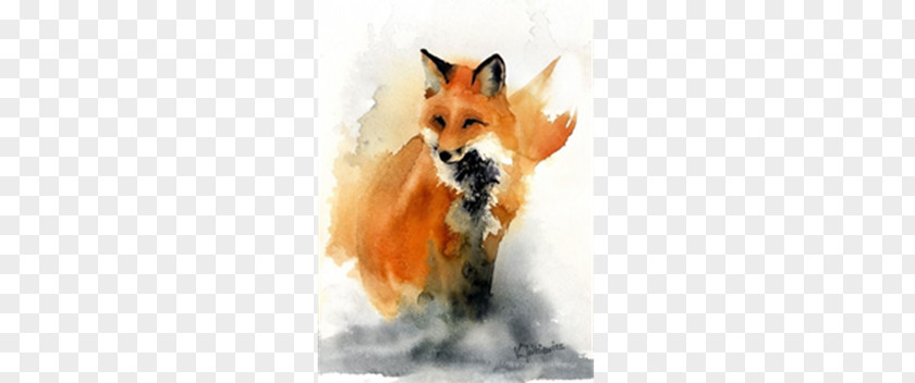 Fox Red Watercolor Painting Art PNG