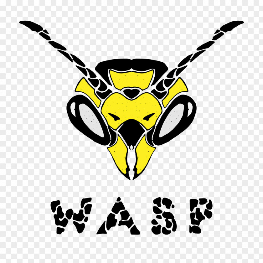 Hornets Head Image Hornet Insect Bee Wasp Illustration PNG