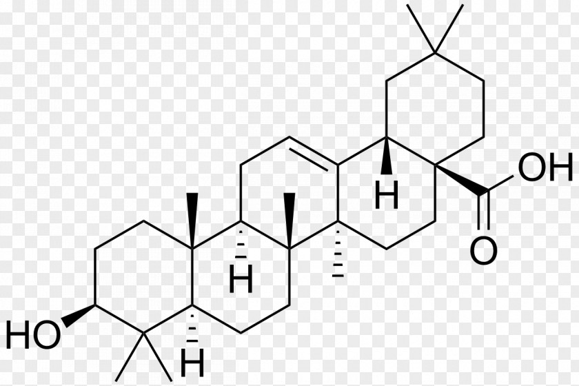 Medical Information Oleanolic Acid Ursolic Triterpene Betulinic PNG
