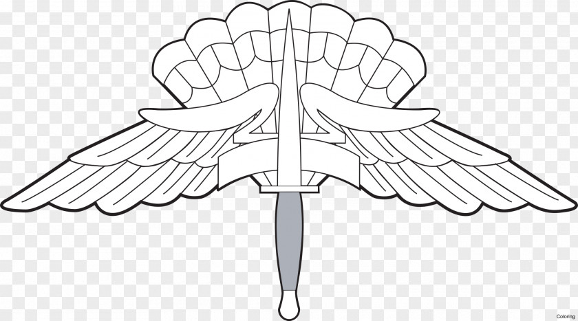 Military Freefall Parachutist Badge High-altitude Parachuting Jumpmaster PNG