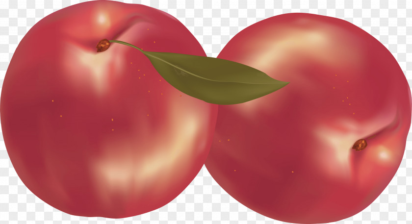 Peach Image Fruit Nectarine Clip Art PNG