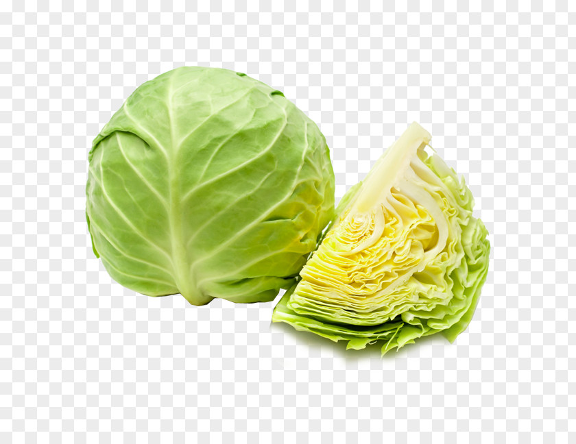 Sauerkraut Side Dish Iceberg Cartoon PNG