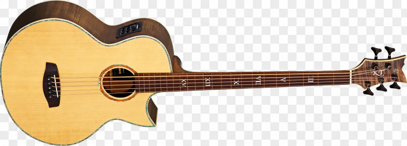 Acoustic Guitar Bass Tiple Acoustic-electric Cuatro PNG