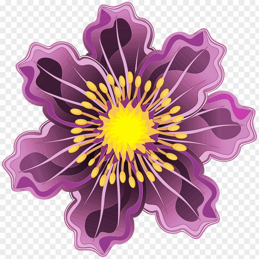 Passion Flower Family Flowering Plant Purple Violet Petal PNG