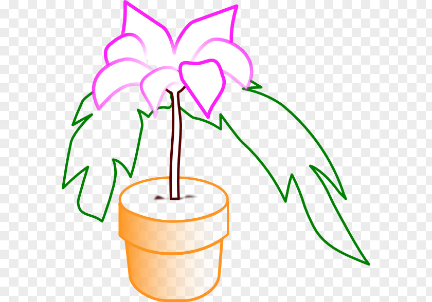 Potted Plant Houseplant Flowerpot Clip Art PNG