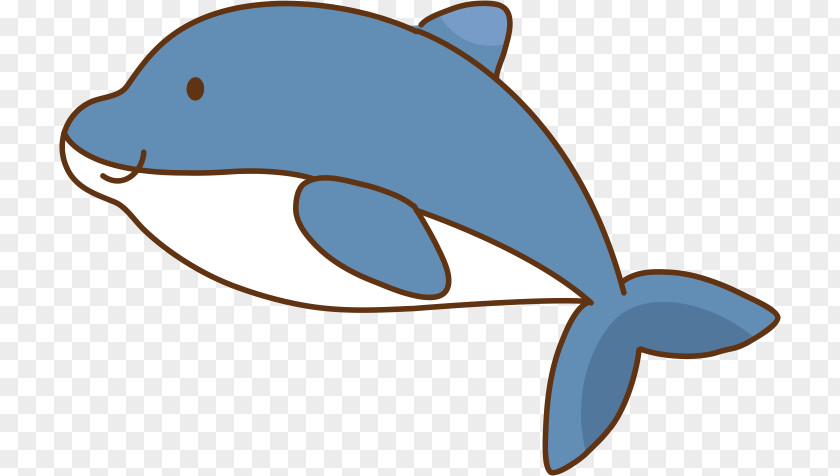 Whale Common Bottlenose Dolphin PNG