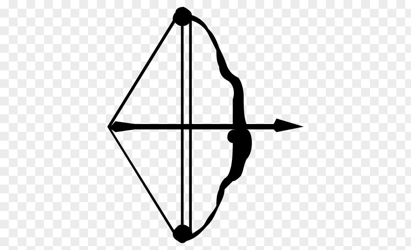 Arrow Bow And Compound Bows Archery PNG