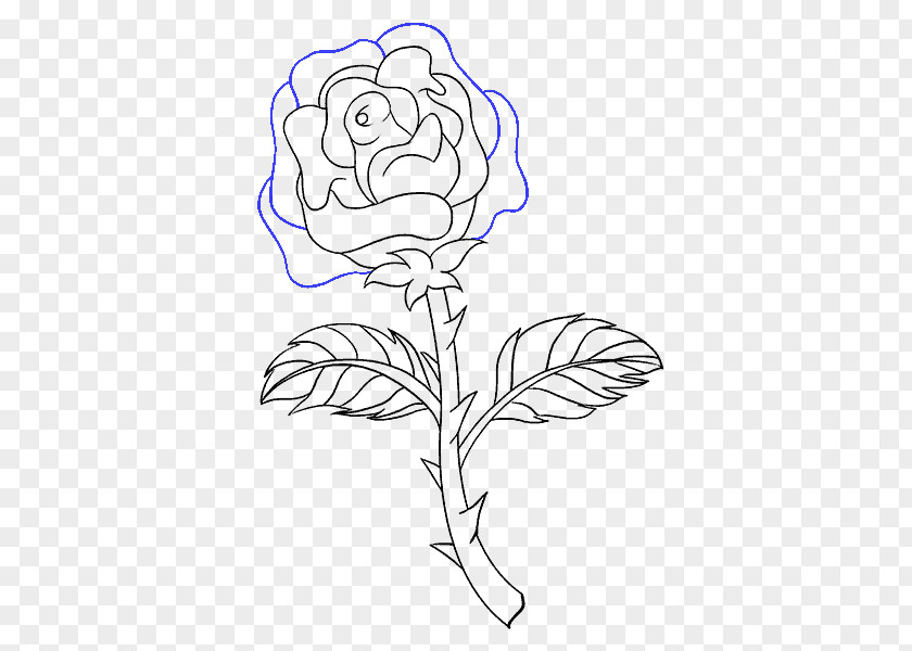 Rose Drawing Plant Stem Image Flower PNG