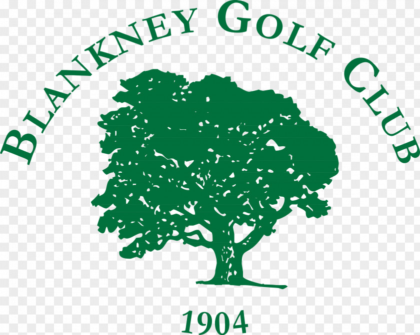 Ashlee Simpson Blankney Golf Club Course Boultham Park PNG