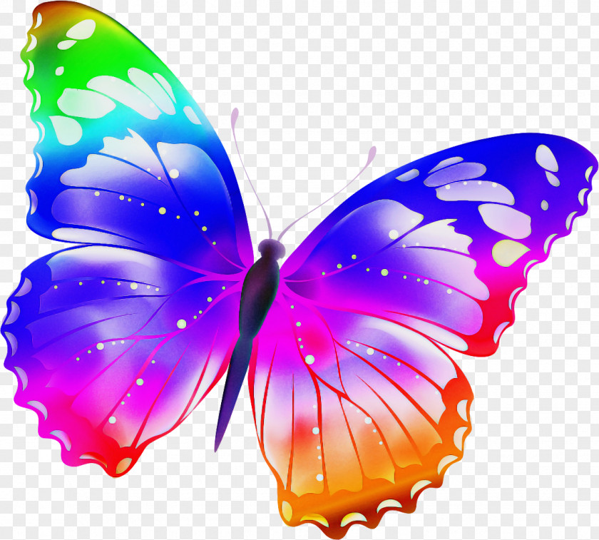 Butterfly Insect Moths And Butterflies Pollinator Purple PNG