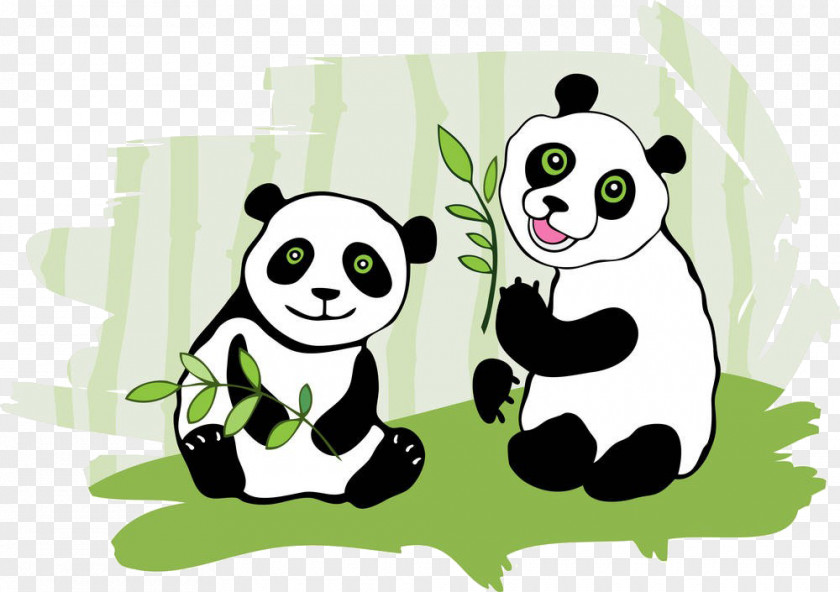 Cartoon Panda Material Giant Drawing Illustration PNG