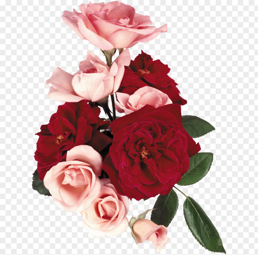 Flower Bouquet Garden Roses Clip Art PNG
