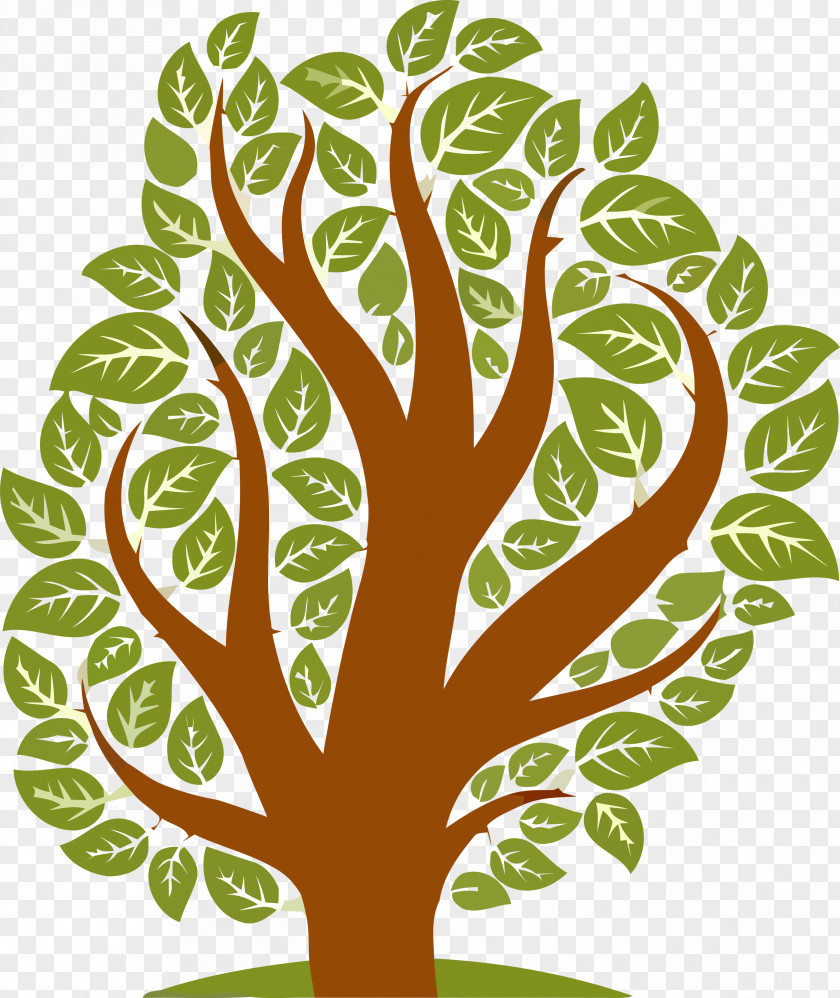 Green Leaf Tree Plant Woody PNG