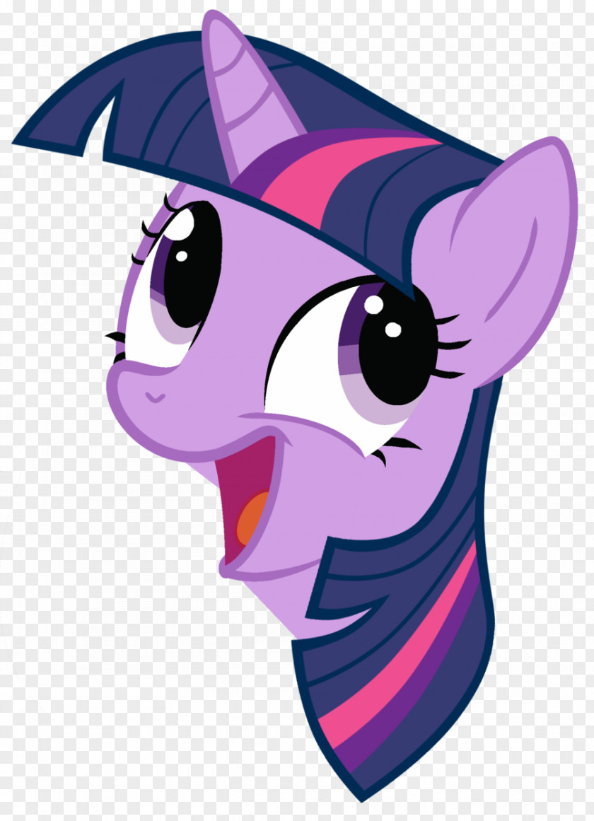 Horse Twilight Sparkle My Little Pony Tempest Shadow PNG