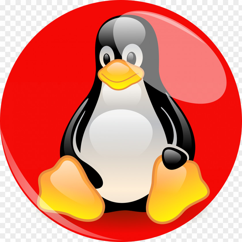 Linux Penguin Red Hat Enterprise Tux PNG