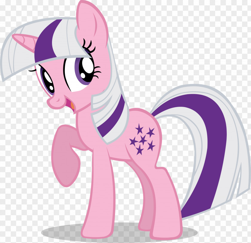 My Little Pony Twilight Sparkle Pinkie Pie Rainbow Dash PNG