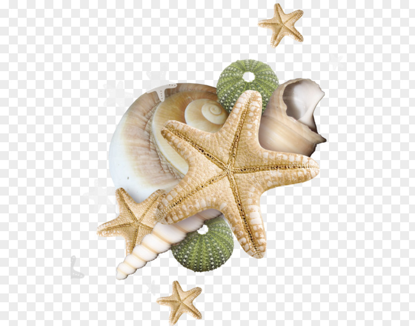 Sea Clip Art PNG