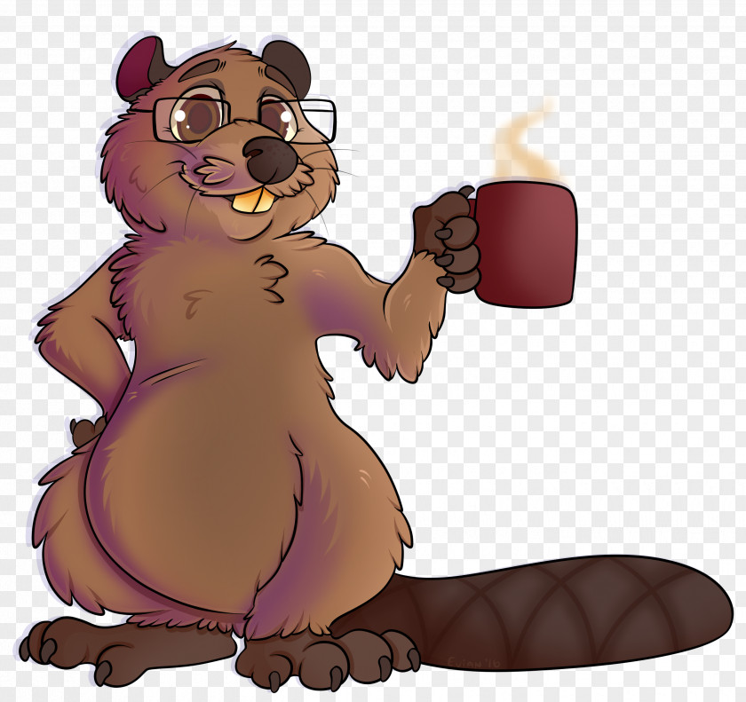 Beaver Bear Rodent Mammal Animal PNG