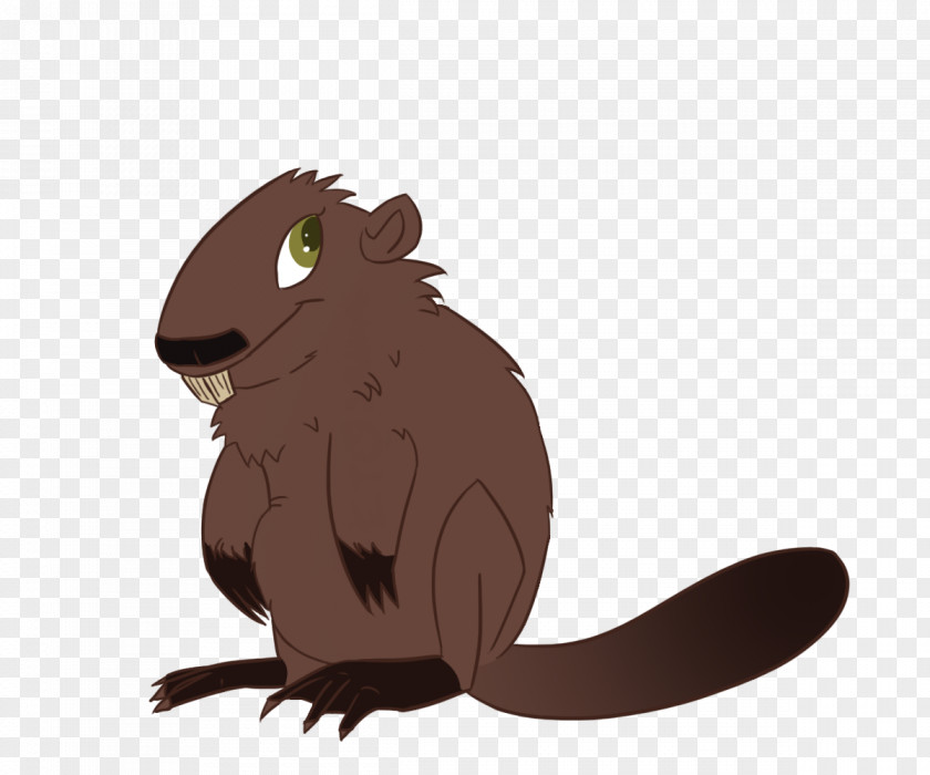 Beaver Rodent Owl Squirrel Rat PNG
