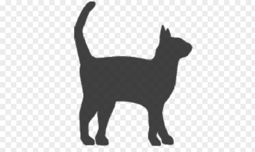 Cat Black Domestic Short-haired Whiskers Paw PNG