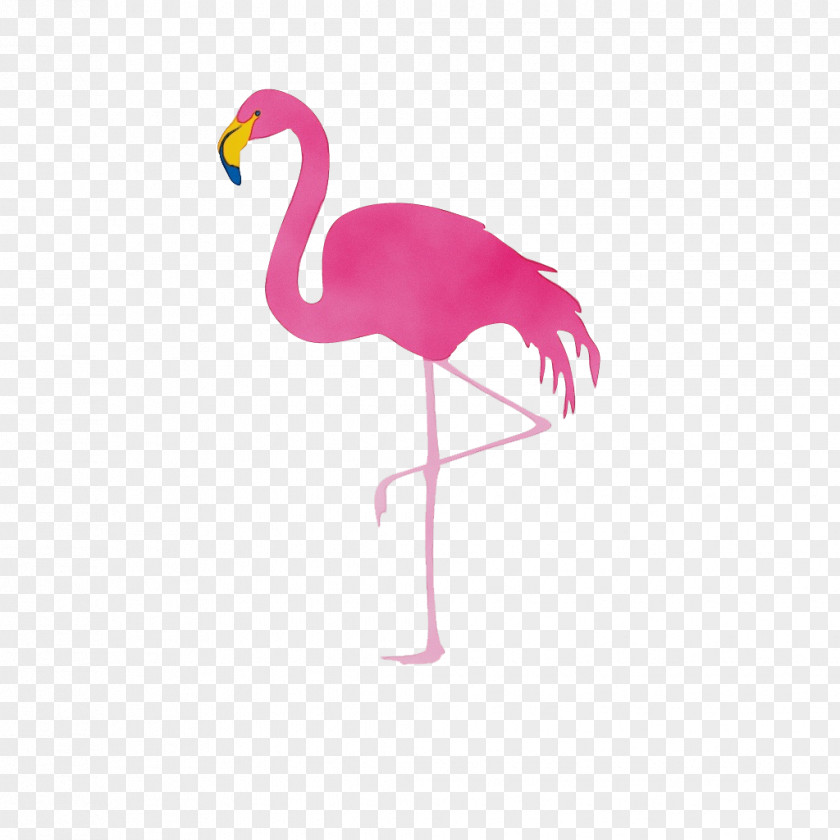 Flamingo Vector Graphics Clip Art Illustration PNG