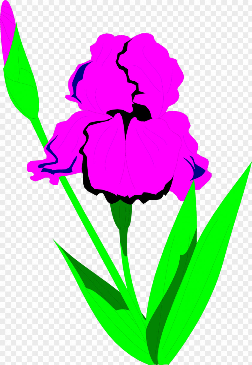 Flower Illustration Drawing Clip Art PNG