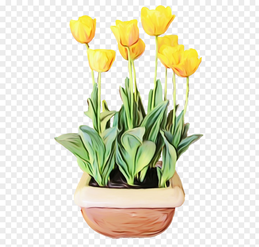 Flower Tulip Plant Flowerpot Yellow PNG