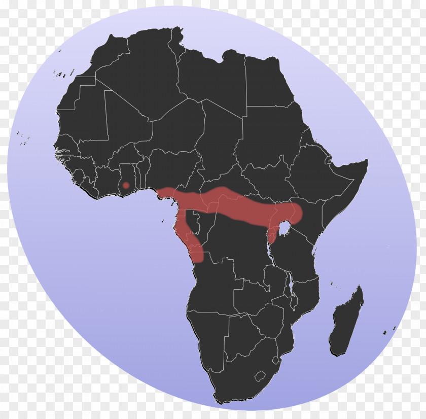 Map Benin World PNG