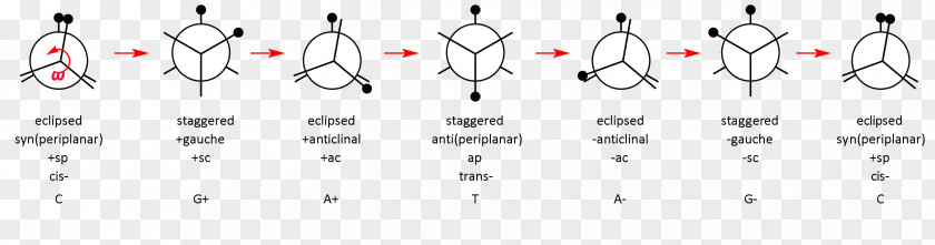 Molecular Chain Paper Point Technology White PNG
