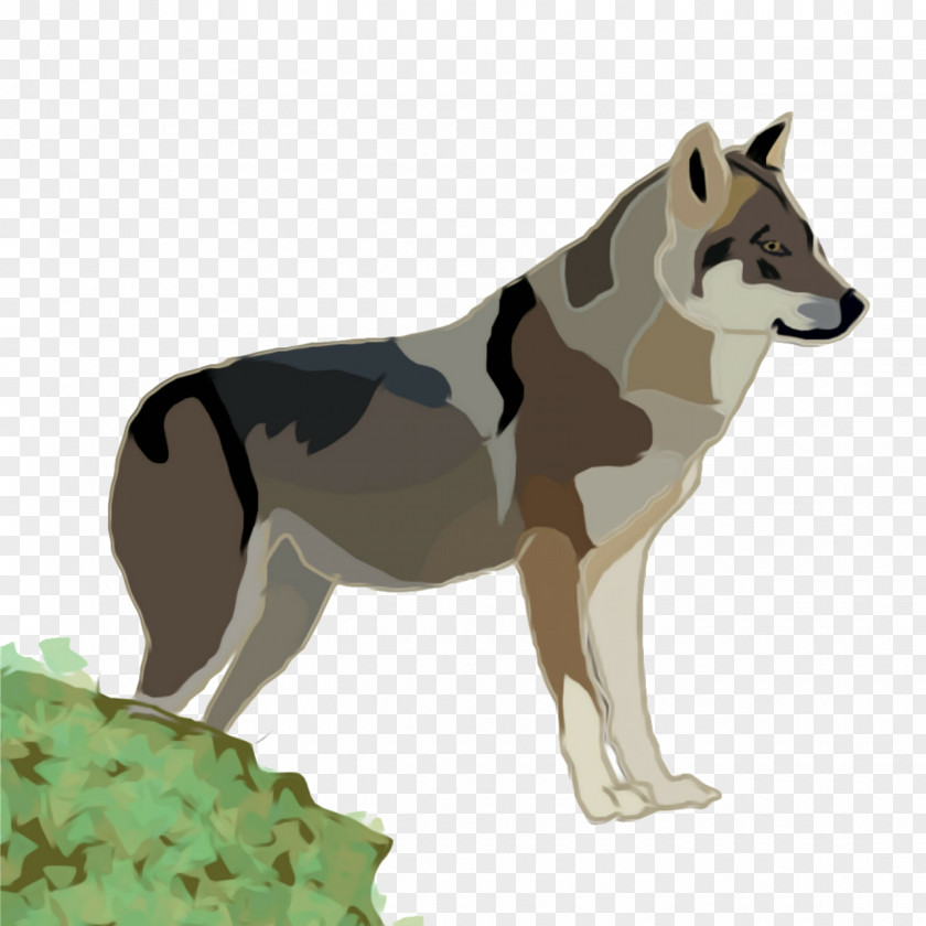 Seppala Siberian Sleddog Norwegian Lundehund June Background PNG