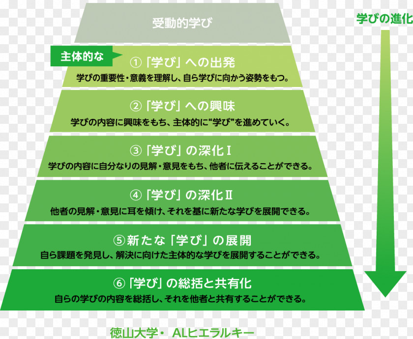 Tual Tokuyama University Learning Education Hierarchy PNG