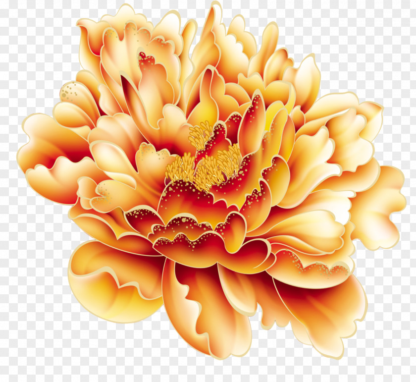 Vector Peony Flower Gold Moutan Red Color PNG