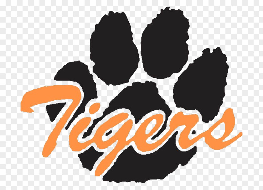 Baseball Farmington High School Detroit Tigers Clemson Women's Basketball Tiger Stadium Sports PNG