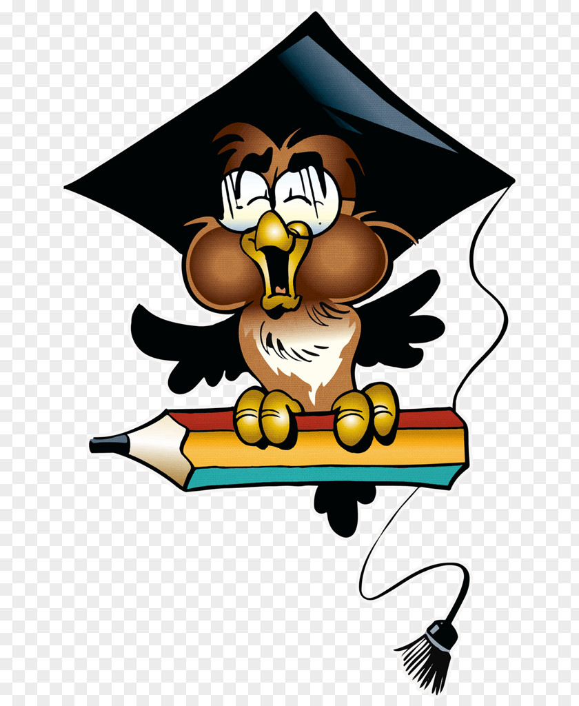 Cartoon Bird Of Prey Certificate Background PNG