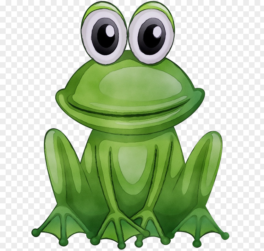 Cartoon Toad Green Frog True Tree Hyla PNG