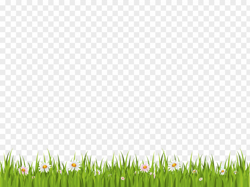 Grass Download Clip Art PNG