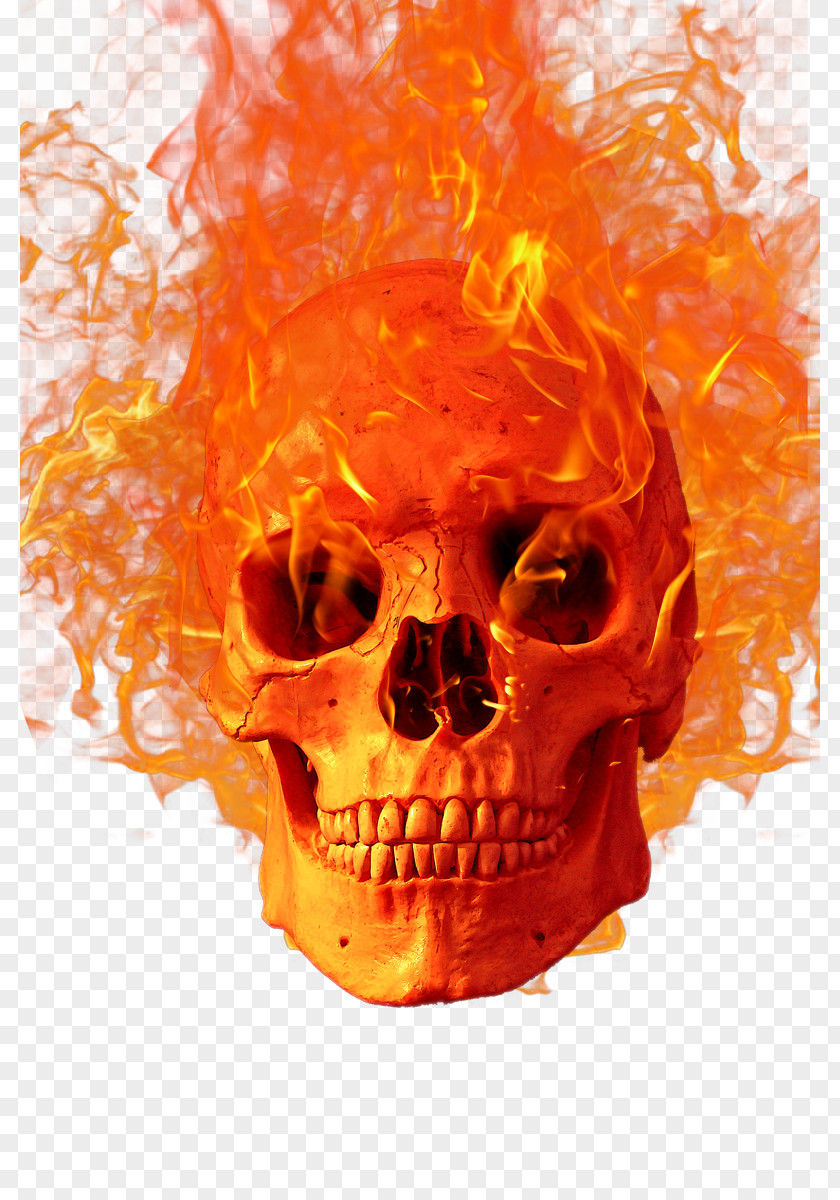 Halloween Skull Flame Fire Icon PNG