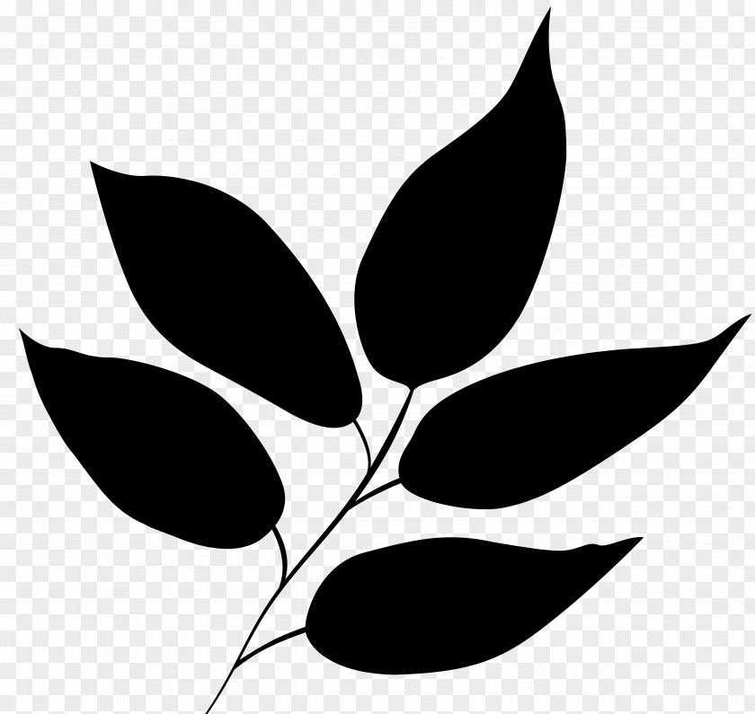 Leaf Plant Stem Flower Clip Art Pattern PNG