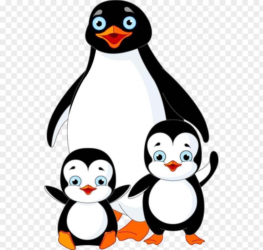Penguin Vector Graphics Stock Photography Illustration PNG