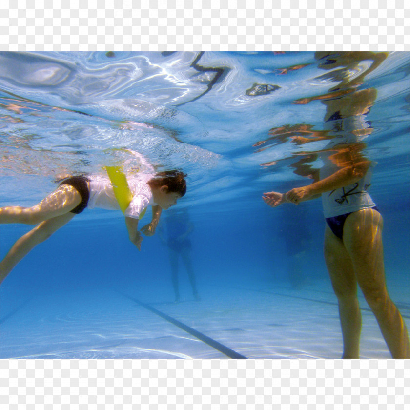 Swimming Pool Water Aerobics Leisure PNG