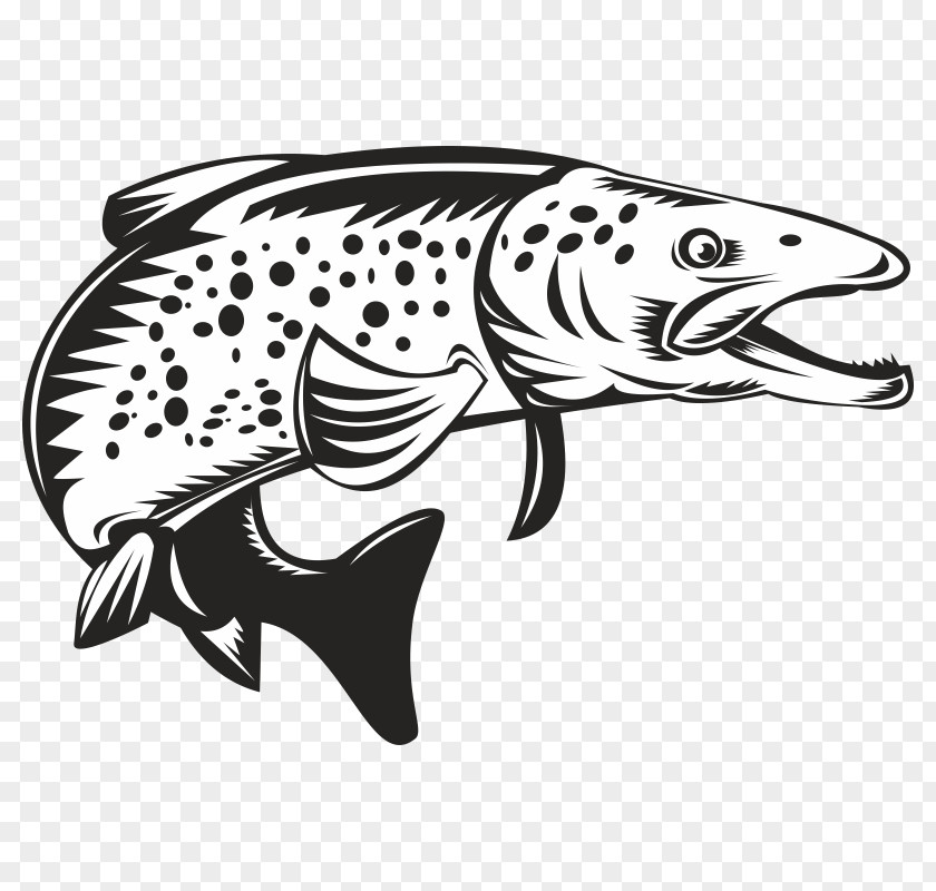 Brook Trout Sea Clip Art PNG