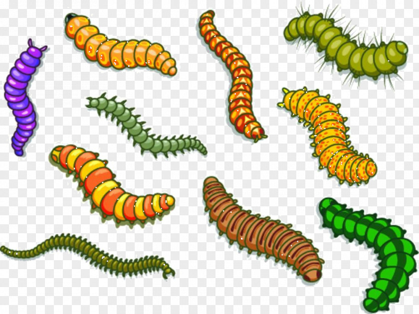 Cartoon Insect Material Worm Royalty-free Illustration PNG