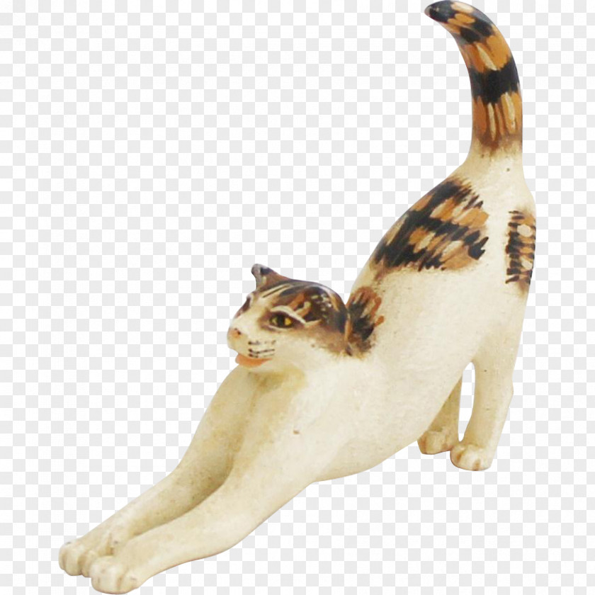 Cat Whiskers Domestic Short-haired Paw Figurine PNG