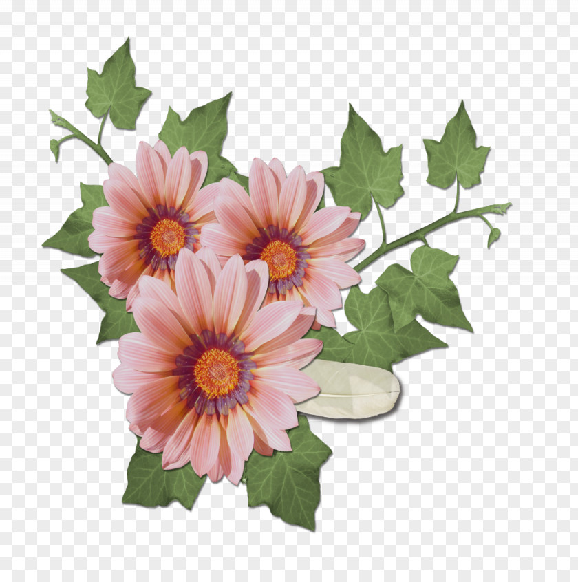 Image Design Flower Adobe Photoshop PNG