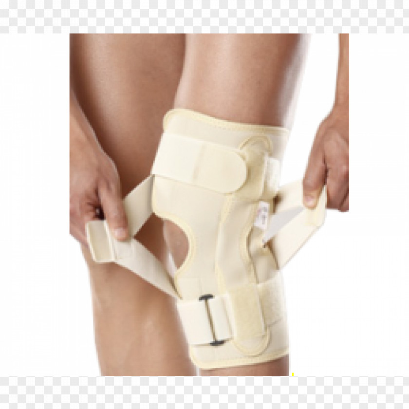 Knee Bone Ankle Shoulder Anterior Cruciate Ligament Splint PNG